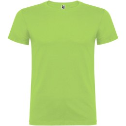 Beagle koszulka męska z krótkim rękawem oasis green (R65545R0)