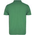 Austral koszulka polo unisex z krótkim rękawem kelly green (R66325H6)