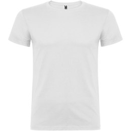 Beagle koszulka dziecięca z krótkim rękawem biały (K65541ZG)