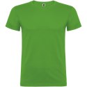 Beagle koszulka dziecięca z krótkim rękawem grass green (K65545CE)