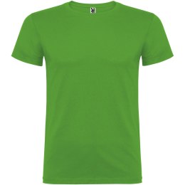 Beagle koszulka dziecięca z krótkim rękawem grass green (K65545CJ)