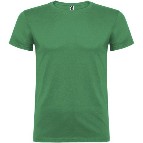 Beagle koszulka dziecięca z krótkim rękawem kelly green (K65545HC)