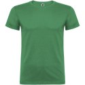 Beagle koszulka dziecięca z krótkim rękawem kelly green (K65545HJ)
