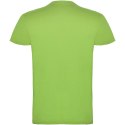 Beagle koszulka dziecięca z krótkim rękawem oasis green (K65545RL)
