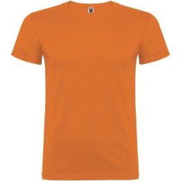 Beagle koszulka dziecięca z krótkim rękawem pomarańczowy (K65543IG)