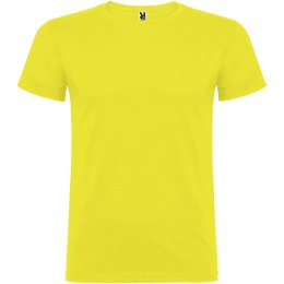 Beagle koszulka dziecięca z krótkim rękawem żółty (K65541BJ)