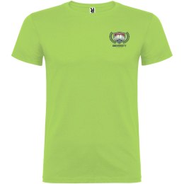 Beagle koszulka męska z krótkim rękawem oasis green (R65545R3)