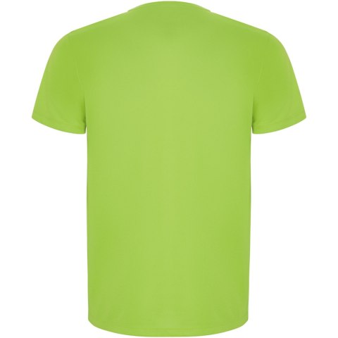 Imola sportowa koszulka dziecięca z krótkim rękawem lime / green lime