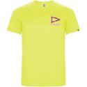 Imola sportowa koszulka męska z krótkim rękawem fluor yellow (R04271C3)