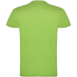 Beagle koszulka dziecięca z krótkim rękawem oasis green (K65545RC)