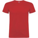 Beagle koszulka dziecięca z krótkim rękawem czerwony (K65544IL)