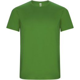 Imola sportowa koszulka dziecięca z krótkim rękawem green fern (K04275DM)