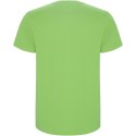 Stafford koszulka dziecięca z krótkim rękawem oasis green (K66815RC)