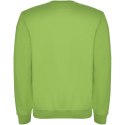 Batian ECO bluza unisex z okrągłym dekoltem oasis green (R10705R0)