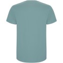 Stafford koszulka dziecięca z krótkim rękawem dusty blue (K66811ML)