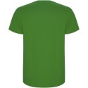 Stafford koszulka dziecięca z krótkim rękawem grass green (K66815CE)