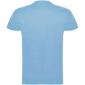 Beagle koszulka dziecięca z krótkim rękawem błękitny (K65542HG)