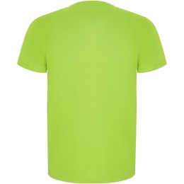 Imola sportowa koszulka męska z krótkim rękawem fluor green (R04275B1)