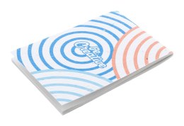 Niestandardowy notatnik z papieru nasiennego