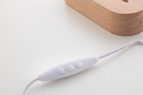 Trofeum podświetlane