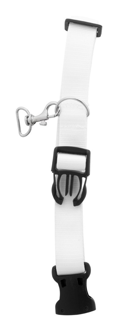 Niestandardowa obroża dla psa