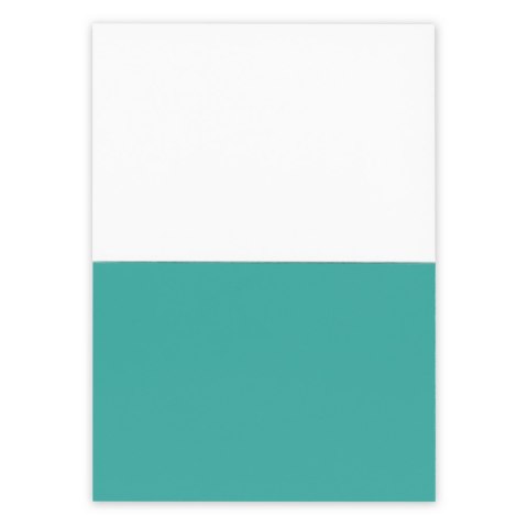 Elektrostatyczne karteczki samoprzylepne | Rolly