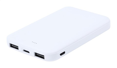 Power bank RABS