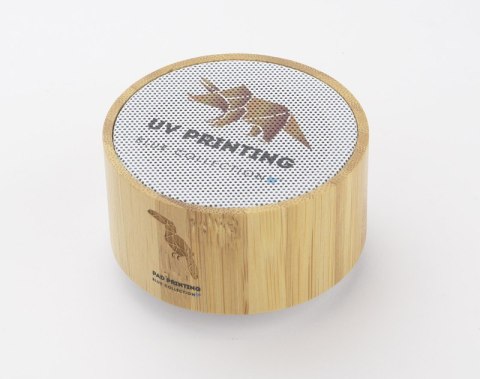 Głośnik bezprzewodowy TROPIC