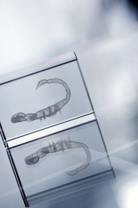 Macon szklana kostka