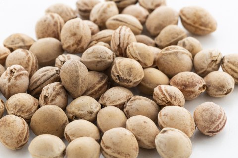 PitHeat Ear poduszka z pestek wiśni