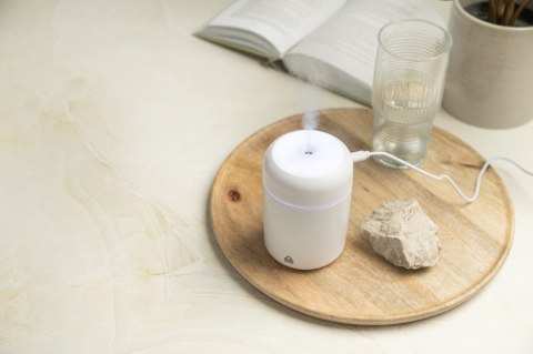 Rapor Nawilżacz RABS