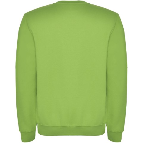 Bluza Clasica zieleń oazy