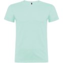 Beagle koszulka męska z krótkim rękawem miętowy zielony