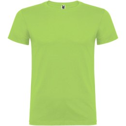 Beagle koszulka męska z krótkim rękawem zieleń oazy