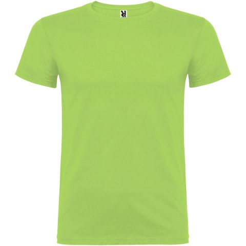 Beagle koszulka męska z krótkim rękawem zieleń oazy