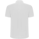 Pegaso Premium koszulka męska polo z krótkim rękawem biały (R66091Z2)