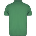 Austral koszulka polo unisex z krótkim rękawem zieleń kelly (R66325H2)