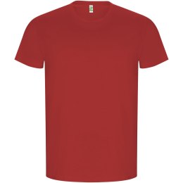 Golden koszulka męska z krótkim rękawem czerwony