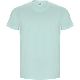 Golden koszulka męska z krótkim rękawem miętowy zielony