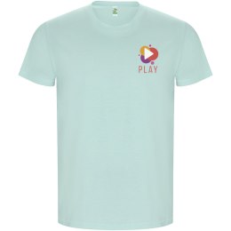 Golden koszulka męska z krótkim rękawem miętowy zielony