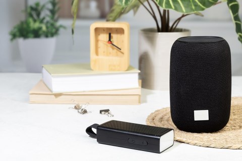 Głośnik bezprzewodowy RABS