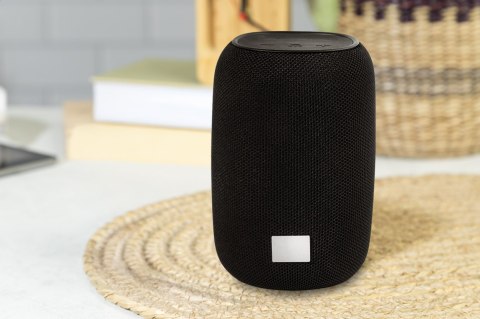 Głośnik bezprzewodowy RABS