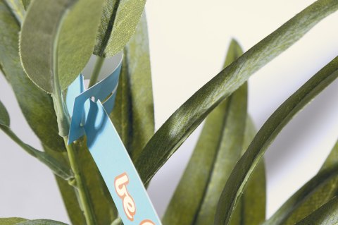 Personalizowana etykieta roślinna