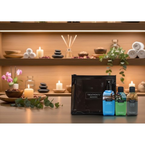 Zestaw kosmetyków podróżnych TREATMENTS