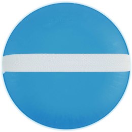 Flicka łapana gra w piłkę niebieski (12705952)