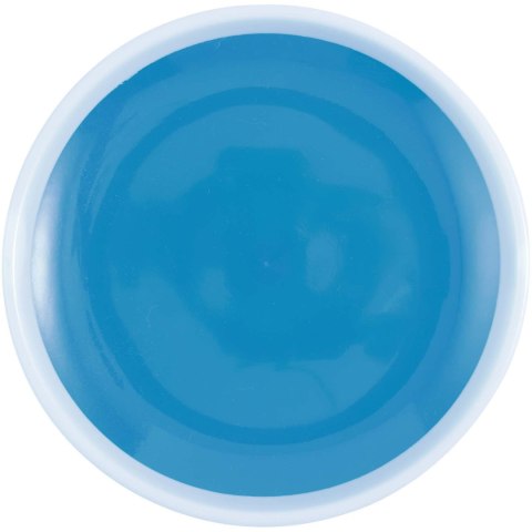 Flicka łapana gra w piłkę niebieski (12705952)