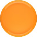 Frisbee