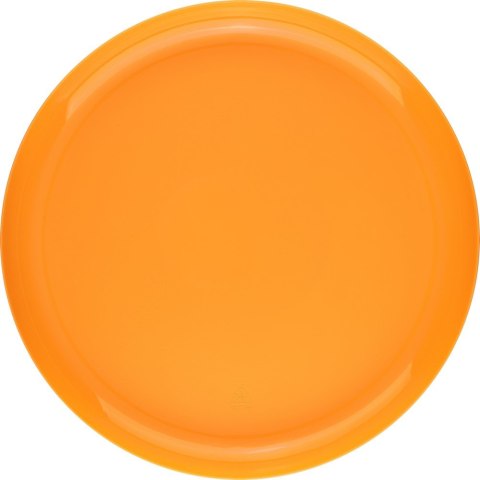 Frisbee