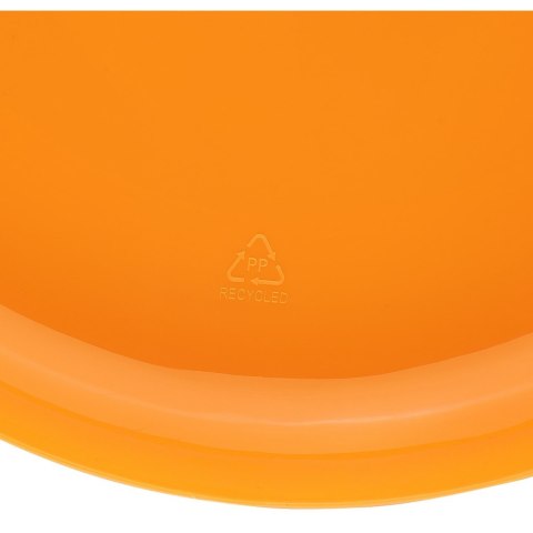 Frisbee