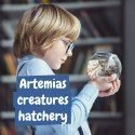 Jurassic Pets Kit I. Gra edukacyjna dla dzieci